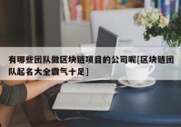 有哪些团队做区块链项目的公司呢[区块链团队起名大全霸气十足]